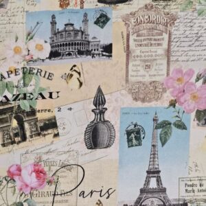 Timeless Treasures Paris: Padrão 1