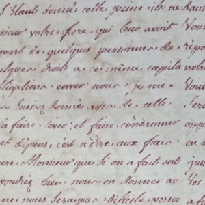 coleção exclusiva: padrão 2 (cópia)