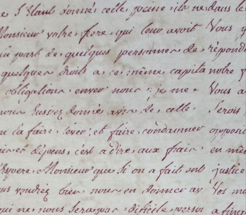 coleção exclusiva: padrão 2 (cópia)