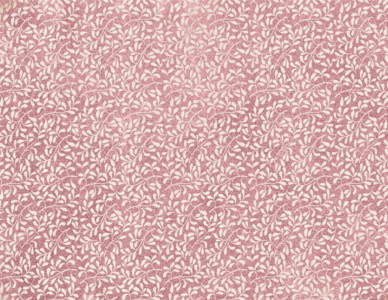 coleção exclusiva: padrão 2 (cópia)