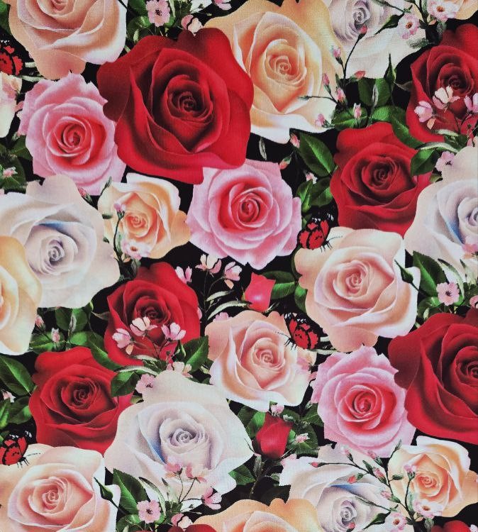 la vie en rose: padrão 1